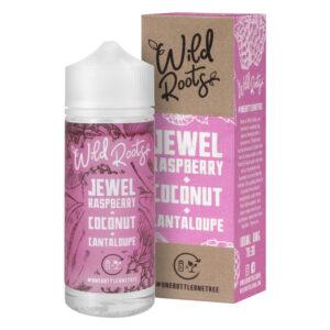 Jewel Raspberry Coconut & Cantaloupe 100ml E-Liquid